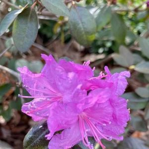 Meet your Posher, Michele